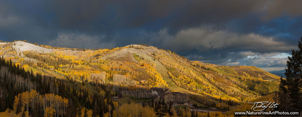Deer Valley fall foliage Photo