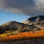 Utah Fall Foliage Photo