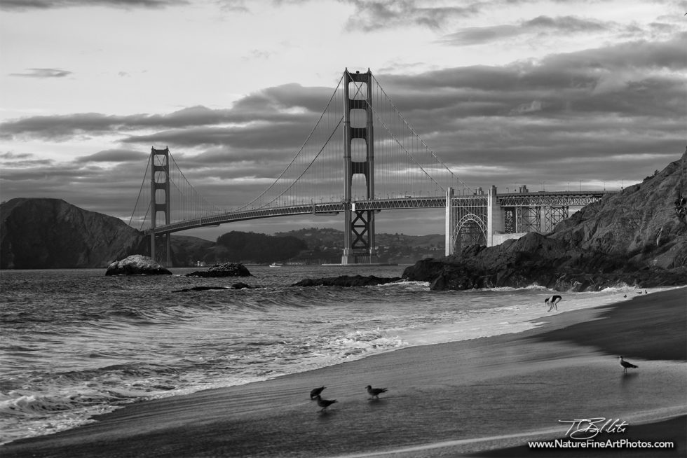 Black and white photo of Baker Beach Golden Gate Bridge