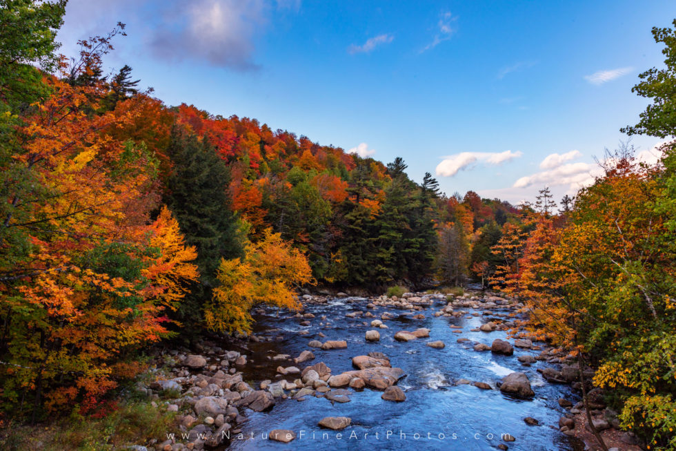 fall foliage along river on whiteface mountain New York