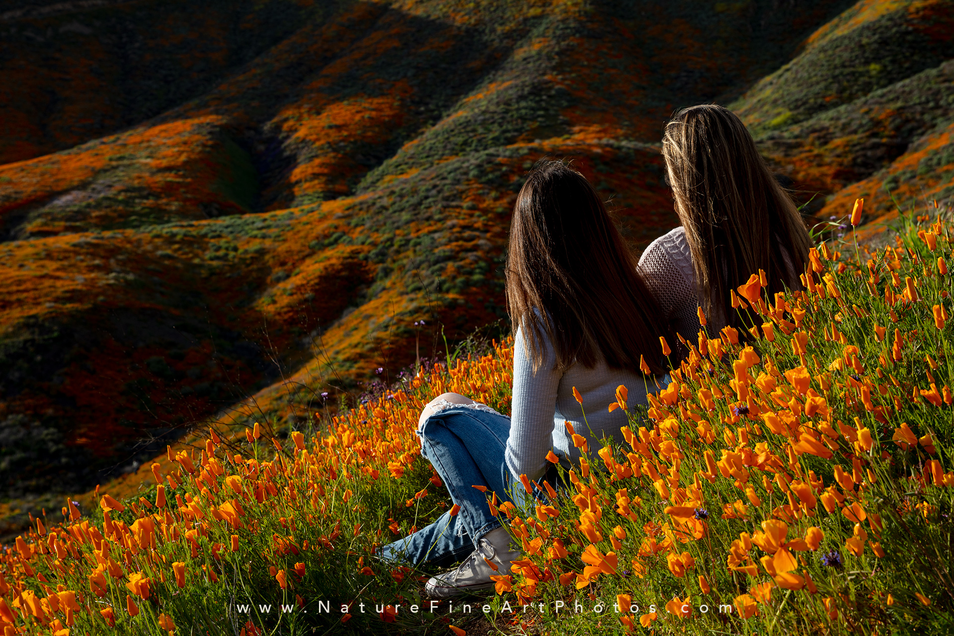 girls sitting in wildflowers superbloom Walker Canyon